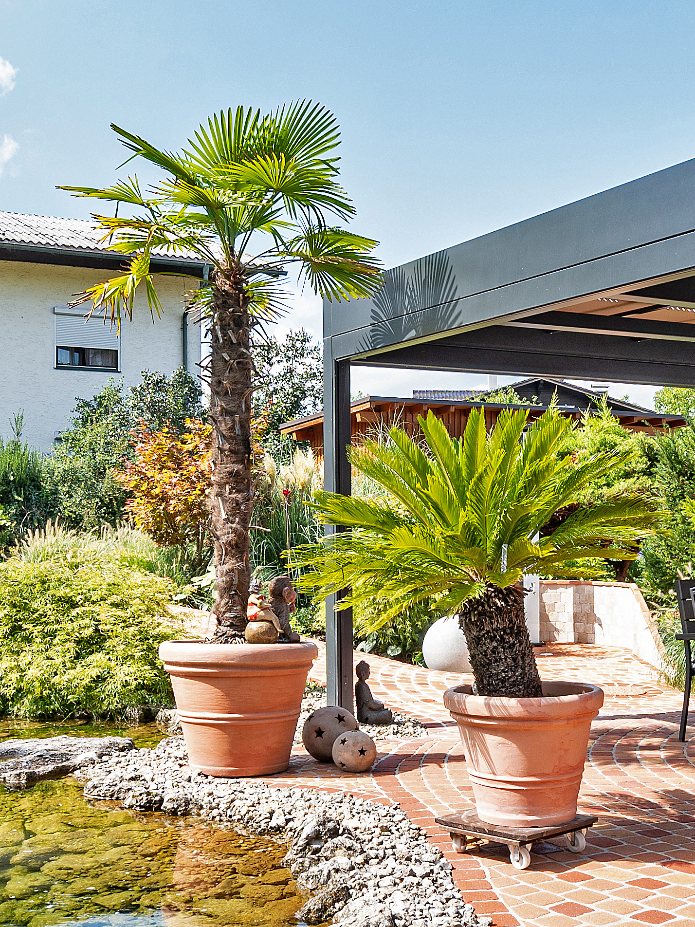 So begrnen Palmen Balkon, Garten und Terrasse | Schattenfinder